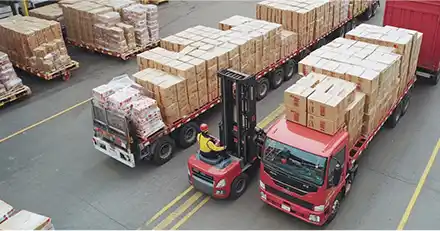 Fast Delivery